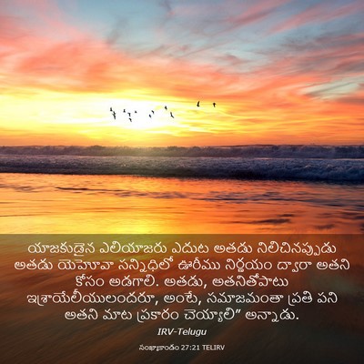 Picture 03 - సంఖ్యాకాండం 27:21 TELIRV - యాజకుడైన ఎలియాజరు - Bible Verse Picture
