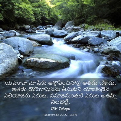 Picture 03 - సంఖ్యాకాండం 27:22 TELIRV - యెహోవా మోషేకు - Bible Verse Picture