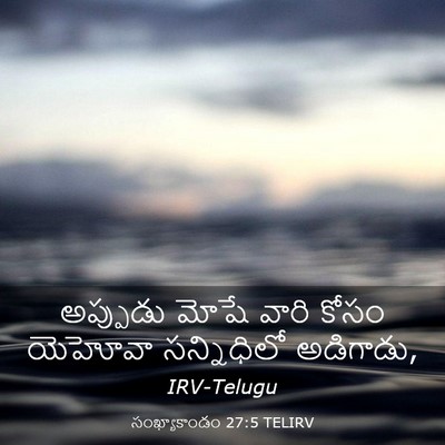 Picture 03 - సంఖ్యాకాండం 27:5 TELIRV - అప్పుడు మోషే వారి - Bible Verse Picture