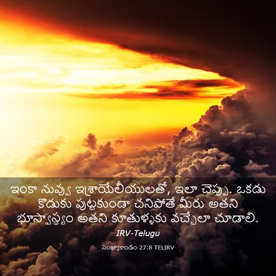 Picture 03 - సంఖ్యాకాండం 27:8 TELIRV - ఇంకా నువ్వు - Bible Verse Picture