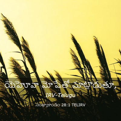 Picture 03 - సంఖ్యాకాండం 28:1 TELIRV - యెహోవా మోషేతో - Bible Verse Picture