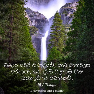 Picture 03 - సంఖ్యాకాండం 28:10 TELIRV - నిత్యం జరిగే - Bible Verse Picture