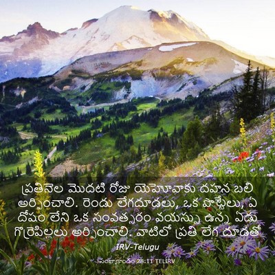 Picture 03 - సంఖ్యాకాండం 28:11 TELIRV - ప్రతినెల మొదటి - Bible Verse Picture