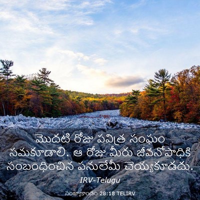 Picture 03 - సంఖ్యాకాండం 28:18 TELIRV - మొదటి రోజు పవిత్ర - Bible Verse Picture