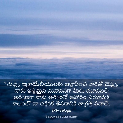 Picture 03 - సంఖ్యాకాండం 28:2 TELIRV - “నువ్వు - Bible Verse Picture