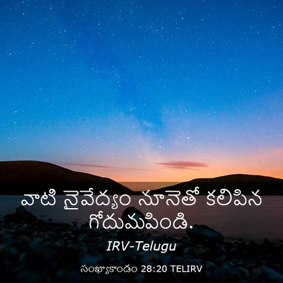 Picture 03 - సంఖ్యాకాండం 28:20 TELIRV - వాటి నైవేద్యం - Bible Verse Picture