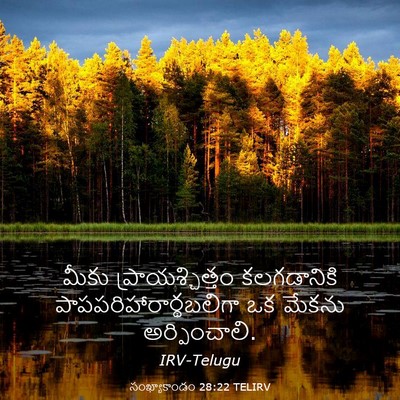 Picture 03 - సంఖ్యాకాండం 28:22 TELIRV - మీకు - Bible Verse Picture