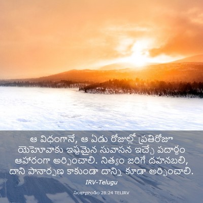 Picture 03 - సంఖ్యాకాండం 28:24 TELIRV - ఆ విధంగానే, ఆ ఏడు - Bible Verse Picture