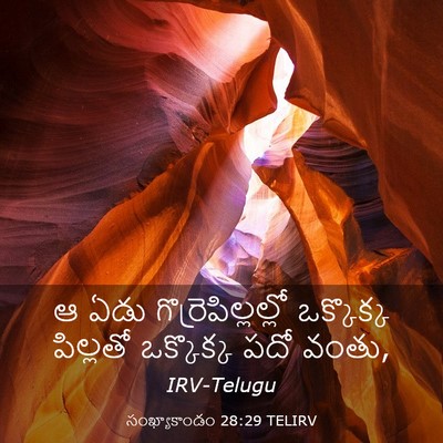 Picture 03 - సంఖ్యాకాండం 28:29 TELIRV - ఆ ఏడు - Bible Verse Picture