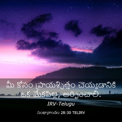 Picture 03 - సంఖ్యాకాండం 28:30 TELIRV - మీ కోసం - Bible Verse Picture
