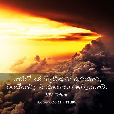Picture 03 - సంఖ్యాకాండం 28:4 TELIRV - వాటిలో ఒక - Bible Verse Picture