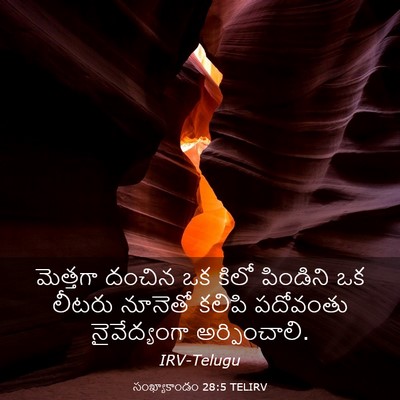 Picture 03 - సంఖ్యాకాండం 28:5 TELIRV - మెత్తగా దంచిన ఒక - Bible Verse Picture