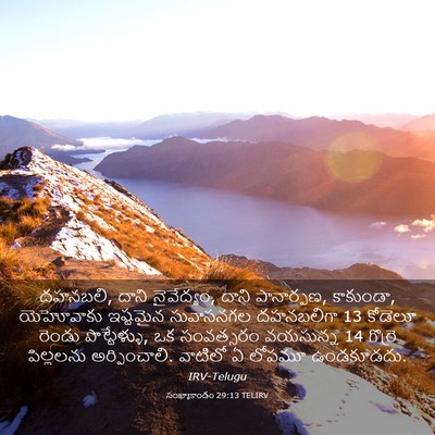 Picture 03 - సంఖ్యాకాండం 29:13 TELIRV - దహనబలి, దాని - Bible Verse Picture