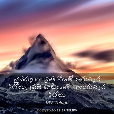 Picture 03 - సంఖ్యాకాండం 29:14 TELIRV - నైవేద్యంగా ప్రతి - Bible Verse Picture