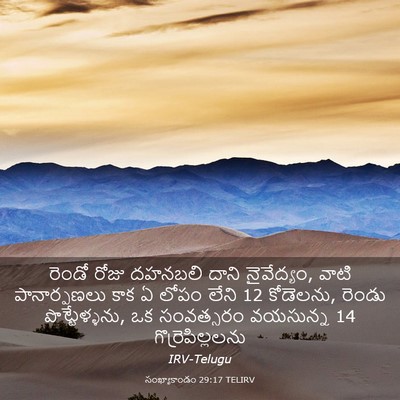 Picture 03 - సంఖ్యాకాండం 29:17 TELIRV - రెండో రోజు దహనబలి - Bible Verse Picture