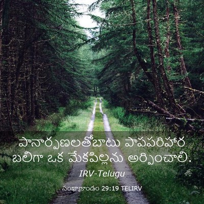 Picture 03 - సంఖ్యాకాండం 29:19 TELIRV - పానార్పణలతోబాటు - Bible Verse Picture