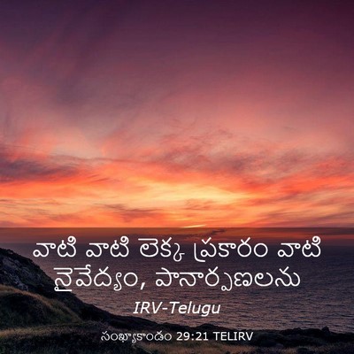 Picture 03 - సంఖ్యాకాండం 29:21 TELIRV - వాటి వాటి లెక్క - Bible Verse Picture