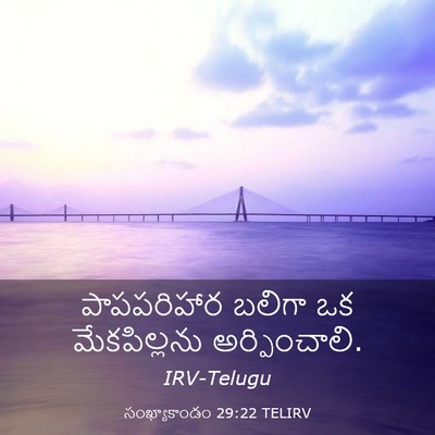Picture 03 - సంఖ్యాకాండం 29:22 TELIRV - పాపపరిహార బలిగా - Bible Verse Picture