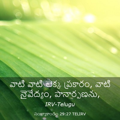 Picture 03 - సంఖ్యాకాండం 29:27 TELIRV - వాటి వాటి లెక్క - Bible Verse Picture