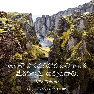 Picture 03 - సంఖ్యాకాండం 29:28 TELIRV - అలాగే పాపపరిహార - Bible Verse Picture