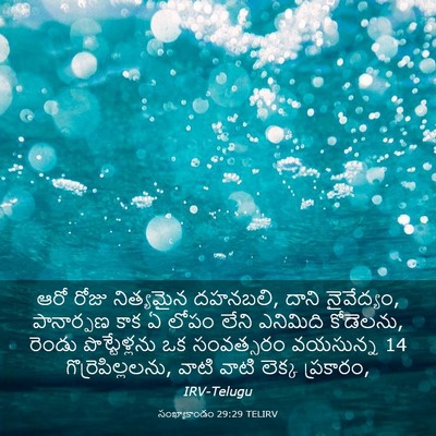 Picture 03 - సంఖ్యాకాండం 29:29 TELIRV - ఆరో రోజు నిత్యమైన - Bible Verse Picture