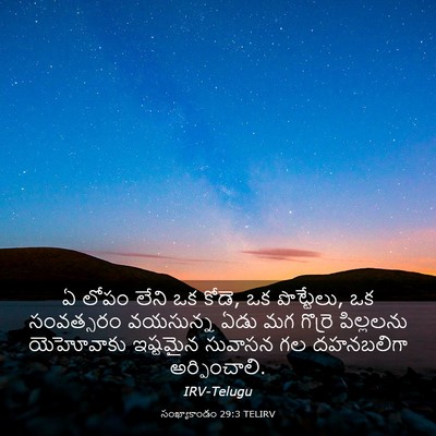 Picture 03 - సంఖ్యాకాండం 29:3 TELIRV - ఏ లోపం లేని ఒక - Bible Verse Picture