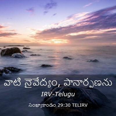 Picture 03 - సంఖ్యాకాండం 29:30 TELIRV - వాటి నైవేద్యం, - Bible Verse Picture