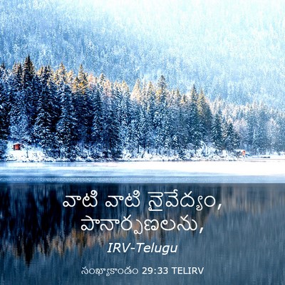 Picture 03 - సంఖ్యాకాండం 29:33 TELIRV - వాటి వాటి - Bible Verse Picture