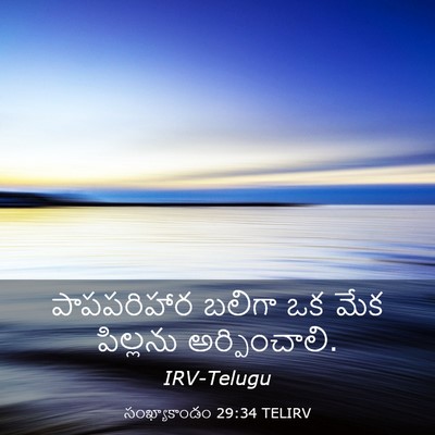 Picture 03 - సంఖ్యాకాండం 29:34 TELIRV - పాపపరిహార బలిగా - Bible Verse Picture
