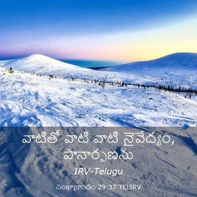 Picture 03 - సంఖ్యాకాండం 29:37 TELIRV - వాటితో వాటి వాటి - Bible Verse Picture