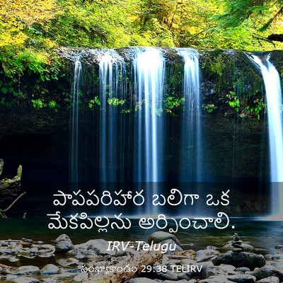 Picture 03 - సంఖ్యాకాండం 29:38 TELIRV - పాపపరిహార బలిగా - Bible Verse Picture