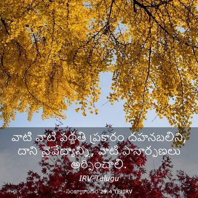 Picture 03 - సంఖ్యాకాండం 29:4 TELIRV - వాటి వాటి పద్ధతి - Bible Verse Picture