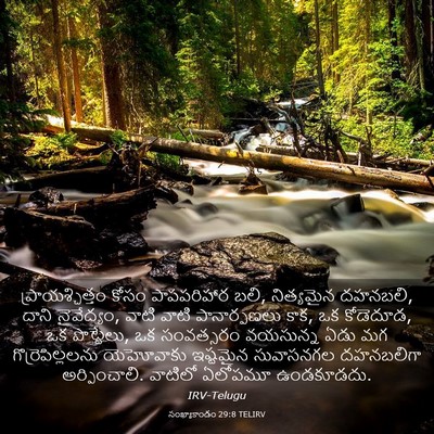 Picture 03 - సంఖ్యాకాండం 29:8 TELIRV - ప్రాయశ్చిత్తం - Bible Verse Picture