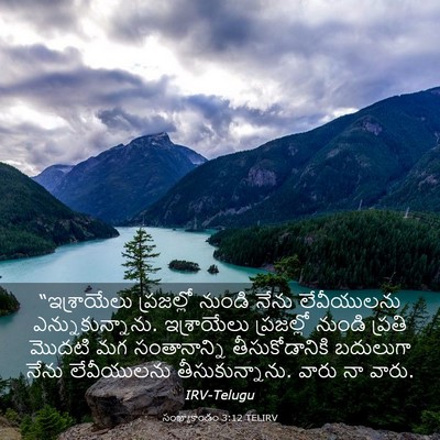 Picture 03 - సంఖ్యాకాండం 3:12 TELIRV - “ఇశ్రాయేలు - Bible Verse Picture