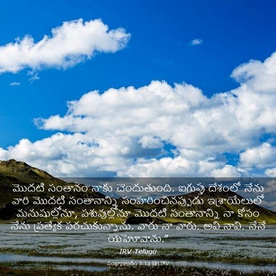 Picture 03 - సంఖ్యాకాండం 3:13 TELIRV - మొదటి సంతానం నాకు - Bible Verse Picture
