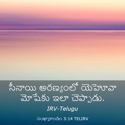Picture 03 - సంఖ్యాకాండం 3:14 TELIRV - సీనాయి అరణ్యంలో - Bible Verse Picture