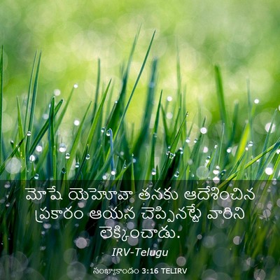 Picture 03 - సంఖ్యాకాండం 3:16 TELIRV - మోషే యెహోవా తనకు - Bible Verse Picture