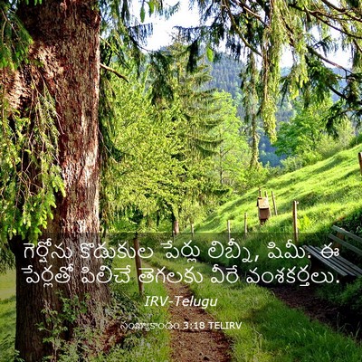 Picture 03 - సంఖ్యాకాండం 3:18 TELIRV - గెర్షోను కొడుకుల - Bible Verse Picture