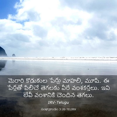Picture 03 - సంఖ్యాకాండం 3:20 TELIRV - మెరారి కొడుకుల - Bible Verse Picture