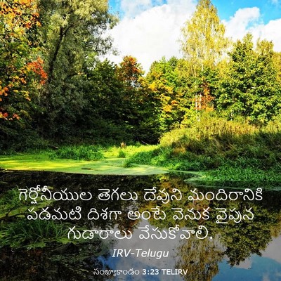 Picture 03 - సంఖ్యాకాండం 3:23 TELIRV - గెర్షోనీయుల తెగలు - Bible Verse Picture