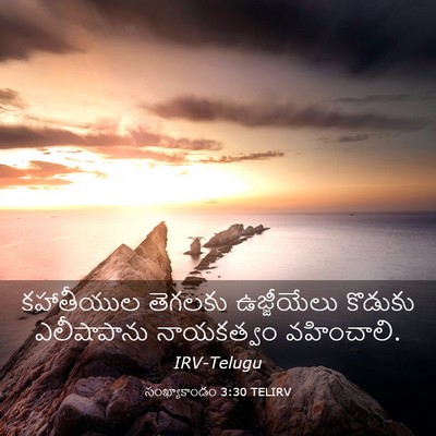 Picture 03 - సంఖ్యాకాండం 3:30 TELIRV - కహాతీయుల తెగలకు - Bible Verse Picture