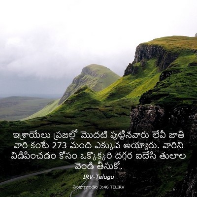 Picture 03 - సంఖ్యాకాండం 3:46 TELIRV - ఇశ్రాయేలు - Bible Verse Picture