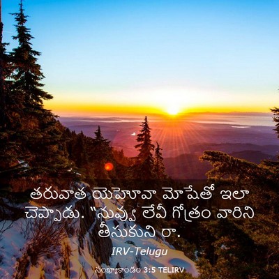 Picture 03 - సంఖ్యాకాండం 3:5 TELIRV - తరువాత యెహోవా - Bible Verse Picture