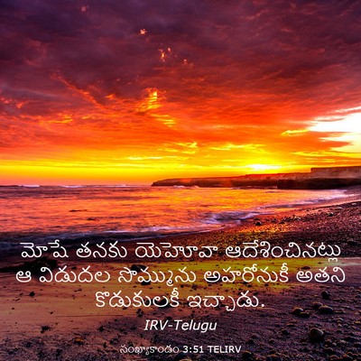 Picture 03 - సంఖ్యాకాండం 3:51 TELIRV - మోషే తనకు యెహోవా - Bible Verse Picture