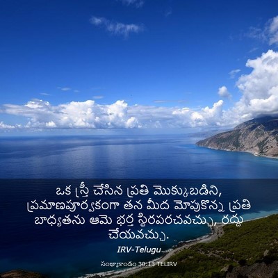 Picture 03 - సంఖ్యాకాండం 30:13 TELIRV - ఒక స్త్రీ చేసిన - Bible Verse Picture