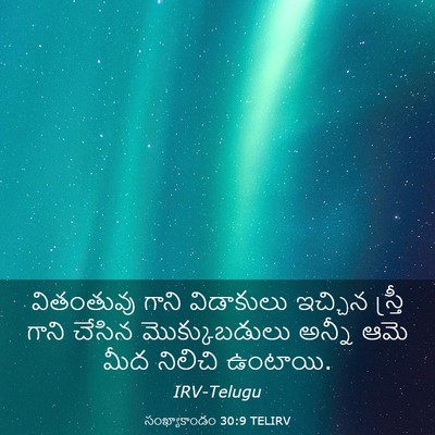 Picture 03 - సంఖ్యాకాండం 30:9 TELIRV - వితంతువు గాని - Bible Verse Picture