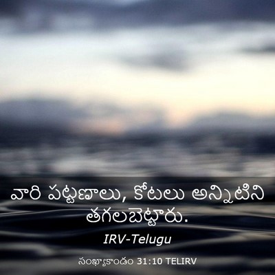 Picture 03 - సంఖ్యాకాండం 31:10 TELIRV - వారి పట్టణాలు, - Bible Verse Picture