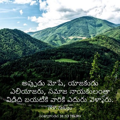 Picture 03 - సంఖ్యాకాండం 31:13 TELIRV - అప్పుడు మోషే, - Bible Verse Picture