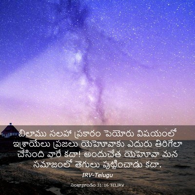 Picture 03 - సంఖ్యాకాండం 31:16 TELIRV - బిలాము సలహా - Bible Verse Picture