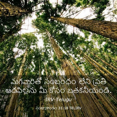 Picture 03 - సంఖ్యాకాండం 31:18 TELIRV - మగవారితో సంబంధం - Bible Verse Picture